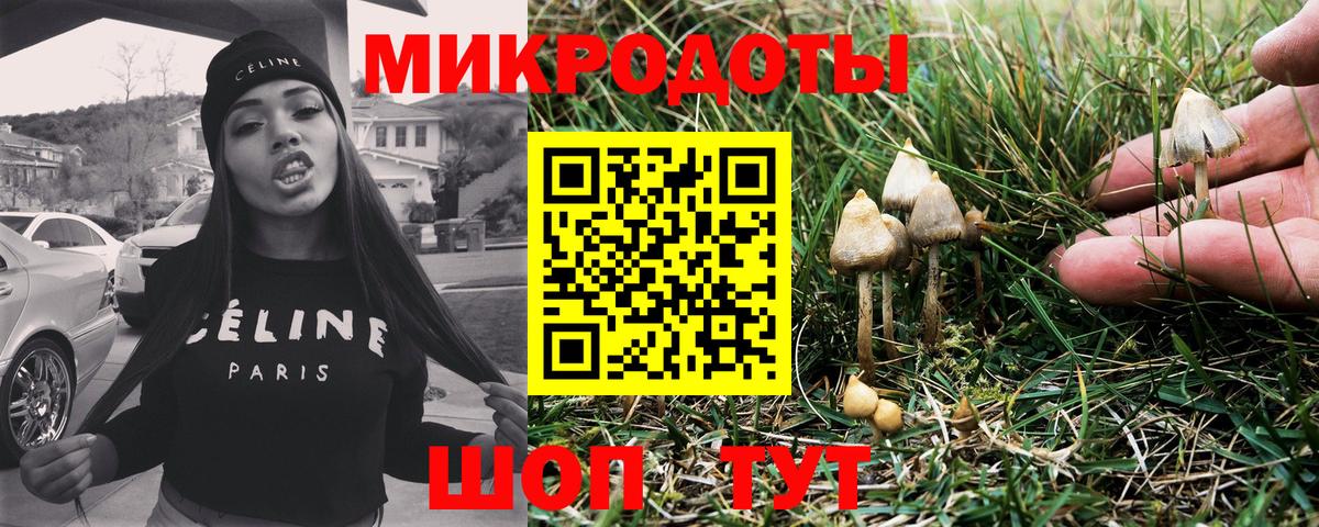 Бор  Галлюциногенные грибы прущие грибы  магазин продажи   Галлюциногенные грибы GOLDEN TEACHER  Вход с VPN 